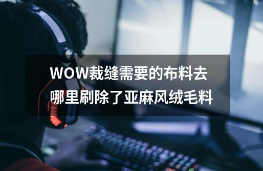 WOW裁缝需要的布料去哪里刷除了亚麻风绒毛料-第1张-游戏信息-龙启网