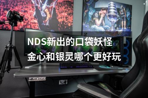 NDS新出的口袋妖怪金心和银灵哪个更好玩-第1张-游戏信息-龙启网