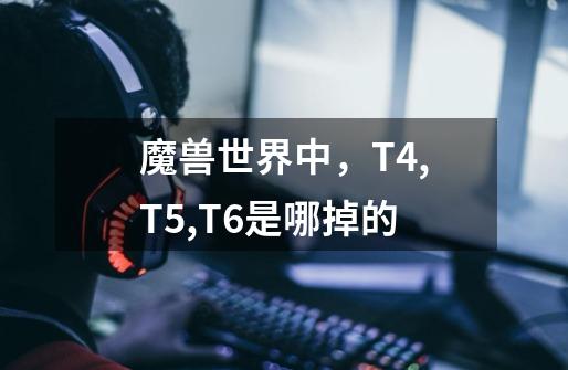 魔兽世界中，T4,T5,T6是哪掉的-第1张-游戏信息-龙启网