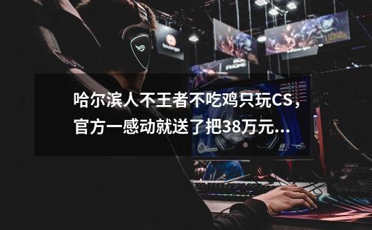 哈尔滨人不王者不吃鸡只玩CS，官方一感动就送了把38万元的礼物？-第1张-游戏信息-龙启网