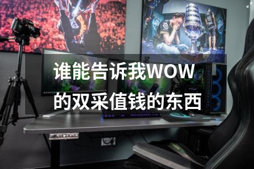 谁能告诉我WOW的双采值钱的东西-第1张-游戏信息-龙启网