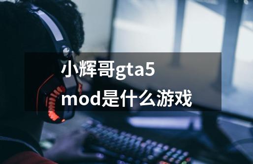 小辉哥gta5 mod是什么游戏-第1张-游戏信息-龙启网