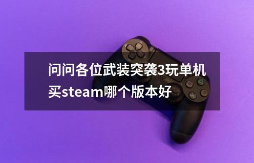 问问各位武装突袭3玩单机买steam哪个版本好-第1张-游戏信息-龙启网