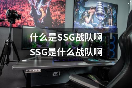 什么是SSG战队啊SSG是什么战队啊-第1张-游戏信息-龙启网