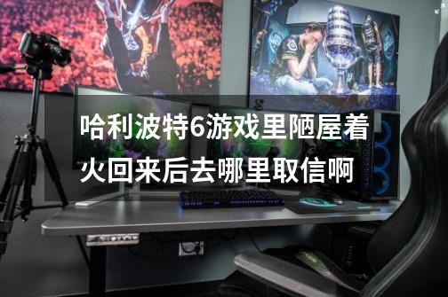 哈利波特6游戏里陋屋着火回来后去哪里取信啊-第1张-游戏信息-龙启网