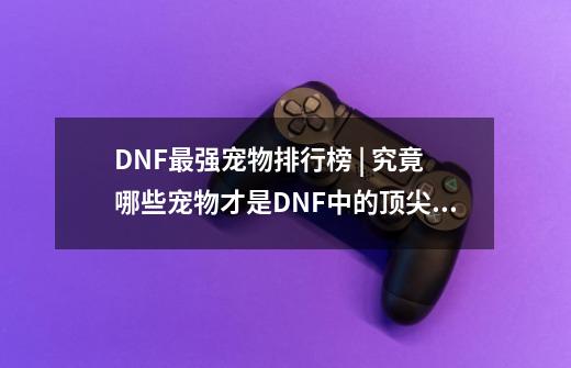 DNF最强宠物排行榜 | 究竟哪些宠物才是DNF中的顶尖存在-第1张-游戏信息-龙启网