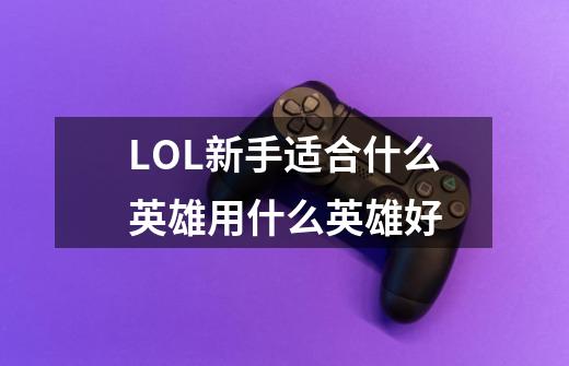 LOL新手适合什么英雄用什么英雄好-第1张-游戏信息-龙启网