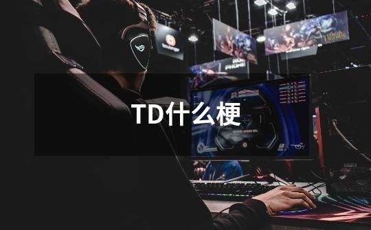 TD什么梗-第1张-游戏信息-龙启网