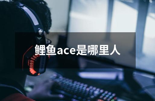 鲤鱼ace是哪里人-第1张-游戏信息-龙启网