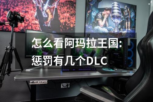 怎么看阿玛拉王国:惩罚有几个DLC-第1张-游戏信息-龙启网