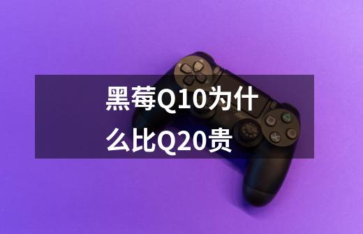 黑莓Q10为什么比Q20贵-第1张-游戏信息-龙启网