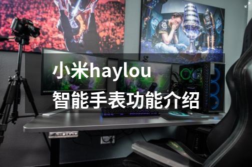 小米haylou智能手表功能介绍-第1张-游戏信息-龙启网