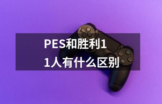 PES和胜利11人有什么区别-第1张-游戏信息-龙启网