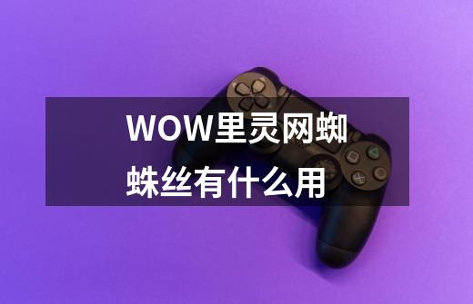 WOW里灵网蜘蛛丝有什么用-第1张-游戏信息-龙启网