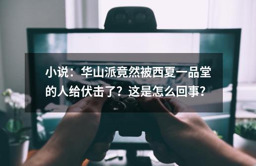 小说：华山派竟然被西夏一品堂的人给伏击了？这是怎么回事？-第1张-游戏信息-龙启网