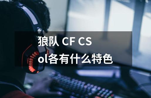 狼队 CF CSol各有什么特色-第1张-游戏信息-龙启网