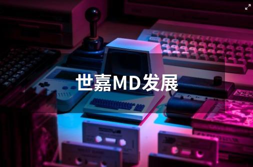 世嘉MD发展-第1张-游戏信息-龙启网