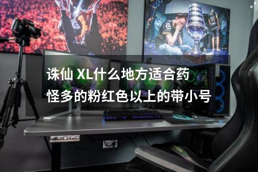 诛仙 XL什么地方适合药怪多的粉红色以上的带小号-第1张-游戏信息-龙启网