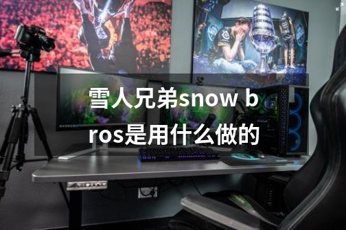 雪人兄弟snow bros是用什么做的-第1张-游戏信息-龙启网