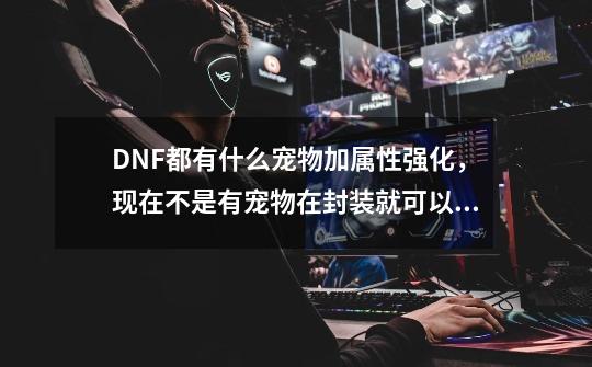 DNF都有什么宠物加属性强化，现在不是有宠物在封装就可以交易了吗，我现在的宠物是迷你罗特斯，想换掉,dnf迷你特斯拉宠物-第1张-游戏信息-龙启网