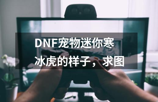 DNF宠物迷你寒冰虎的样子，求图-第1张-游戏信息-龙启网