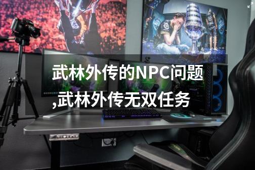 武林外传的NPC问题,武林外传无双任务-第1张-游戏信息-龙启网