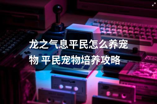 龙之气息平民怎么养宠物 平民宠物培养攻略-第1张-游戏信息-龙启网