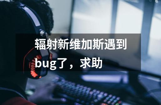 辐射新维加斯遇到bug了，求助-第1张-游戏信息-龙启网