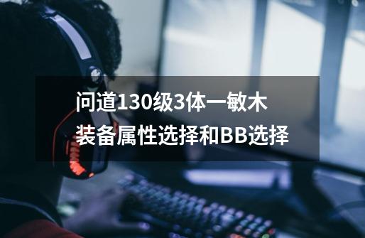 问道130级3体一敏木装备属性选择和BB选择-第1张-游戏信息-龙启网