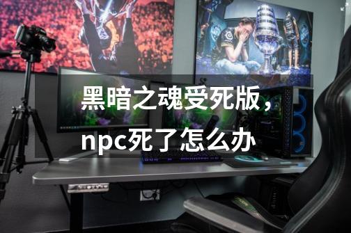 黑暗之魂受死版，npc死了怎么办-第1张-游戏信息-龙启网