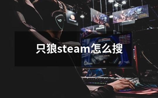 只狼steam怎么搜-第1张-游戏信息-龙启网