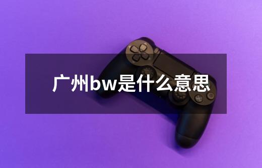 广州bw是什么意思-第1张-游戏信息-龙启网