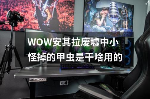 WOW安其拉废墟中小怪掉的甲虫是干啥用的-第1张-游戏信息-龙启网