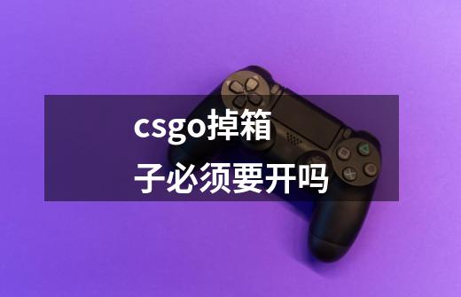 csgo掉箱子必须要开吗-第1张-游戏信息-龙启网