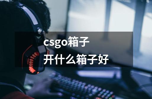 csgo箱子开什么箱子好-第1张-游戏信息-龙启网