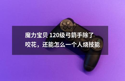 魔力宝贝 120级弓箭手除了咬花，还能怎么一个人烧技能-第1张-游戏信息-龙启网