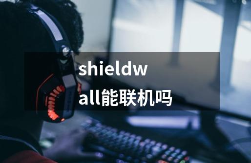 shieldwall能联机吗-第1张-游戏信息-龙启网