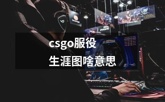 csgo服役生涯图啥意思-第1张-游戏信息-龙启网