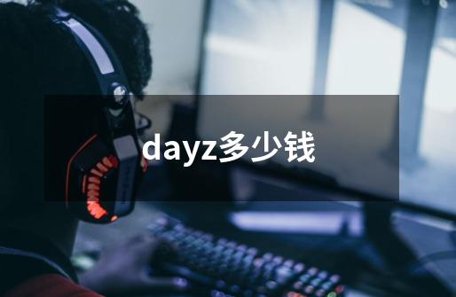 dayz多少钱-第1张-游戏信息-龙启网