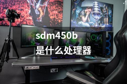 sdm450b是什么处理器-第1张-游戏信息-龙启网