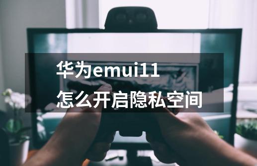 华为emui11怎么开启隐私空间-第1张-游戏信息-龙启网