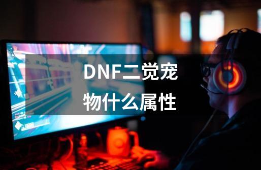 DNF二觉宠物什么属性-第1张-游戏信息-龙启网