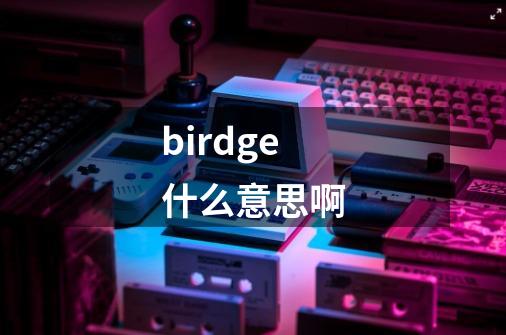 birdge什么意思啊-第1张-游戏信息-龙启网