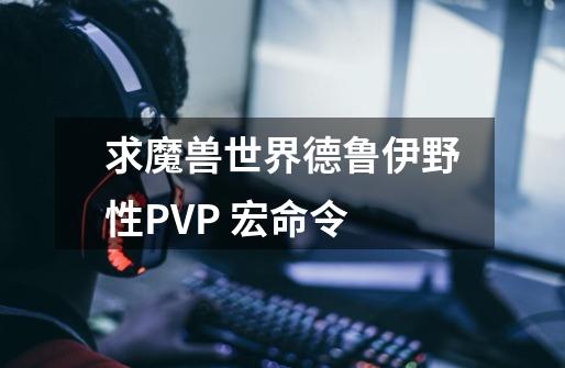 求魔兽世界德鲁伊野性PVP 宏命令-第1张-游戏信息-龙启网