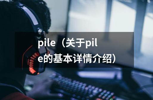 pile（关于pile的基本详情介绍）-第1张-游戏信息-龙启网