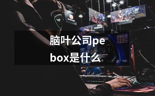 脑叶公司pebox是什么-第1张-游戏信息-龙启网