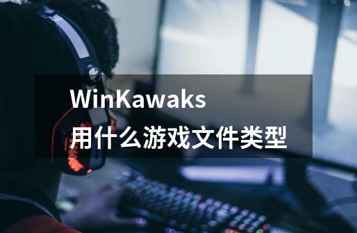 WinKawaks用什么游戏文件类型-第1张-游戏信息-龙启网