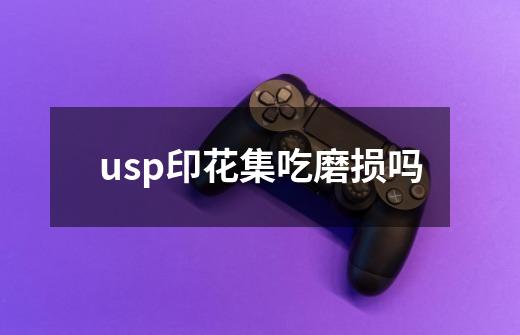 usp印花集吃磨损吗-第1张-游戏信息-龙启网