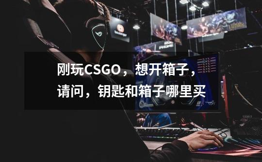 刚玩CSGO，想开箱子，请问，钥匙和箱子哪里买-第1张-游戏信息-龙启网