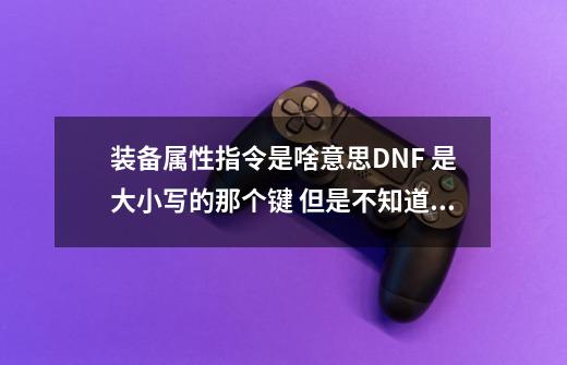 装备属性指令是啥意思DNF 是大小写的那个键 但是不知道有啥用-第1张-游戏信息-龙启网